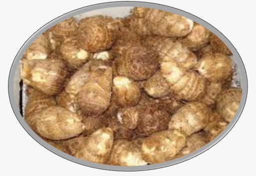 Producción Agrícola