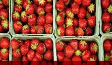 Tecnología Agrícola