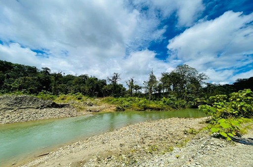 Cultivo en Invernadero