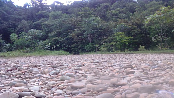 Producción Agrícola