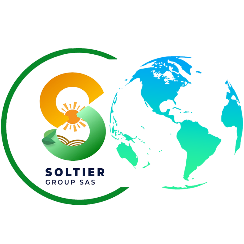 Soltier Group Logo